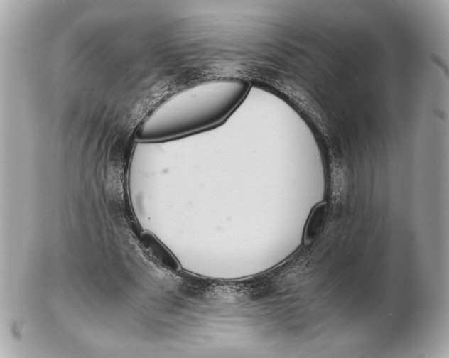 X0000102380489200808291404