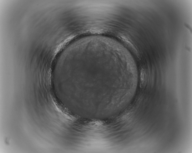 X0000102380492200808291404