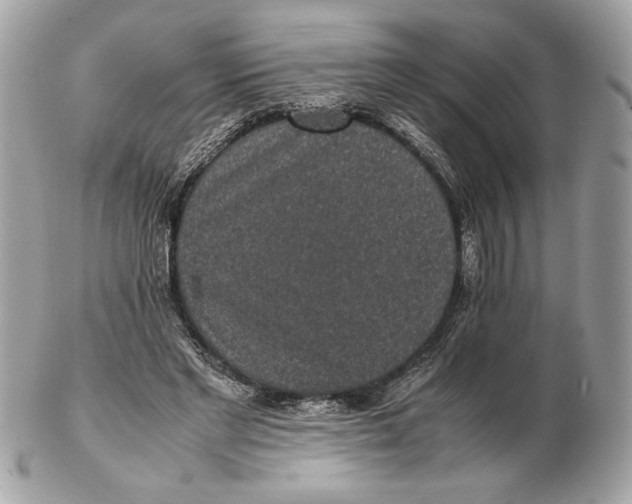 X0000102380493200808291404