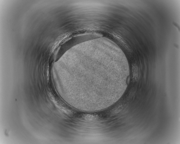 X0000102380494200808291404