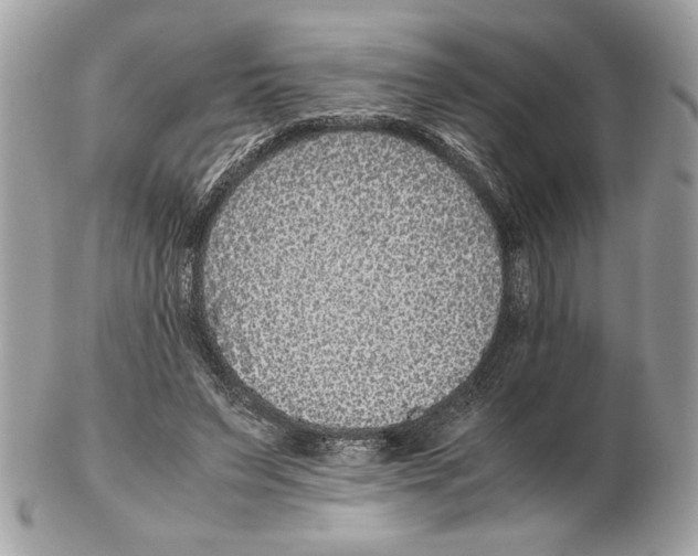 X0000102380495200808291404