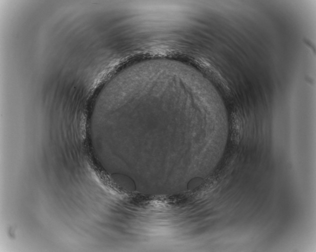 X0000102380496200808291404