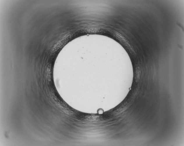 X0000102380497200808291404