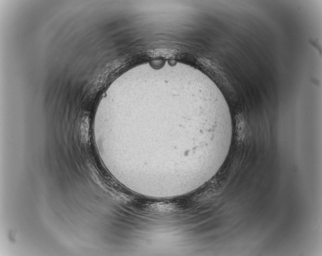 X0000102380498200808291404