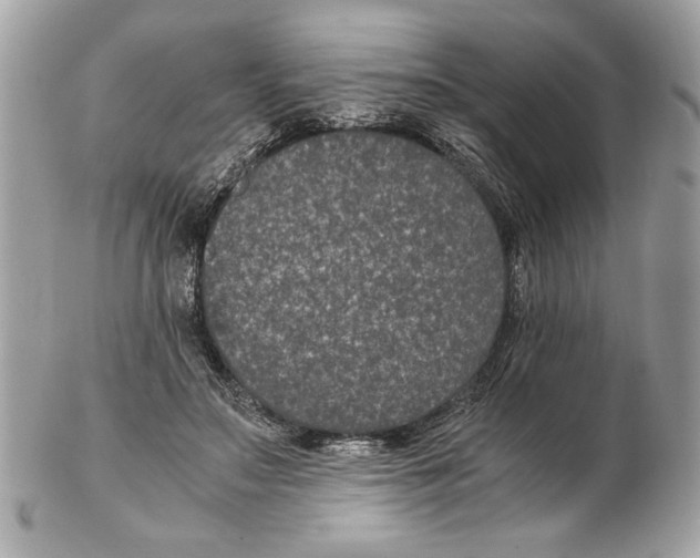 X0000102380499200808291404