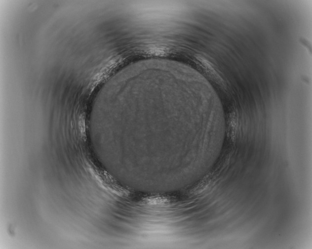 X0000102380500200808291404