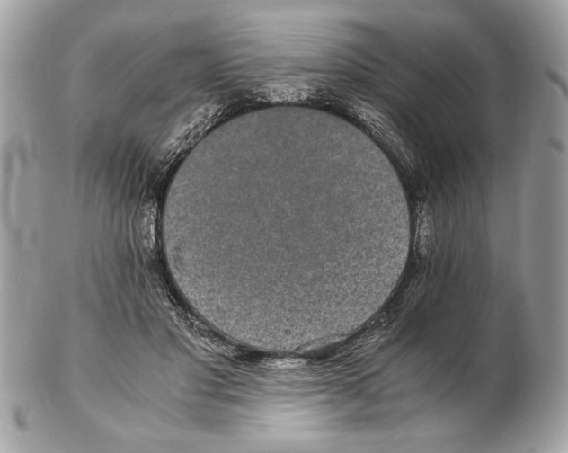 X0000102380501200808291404