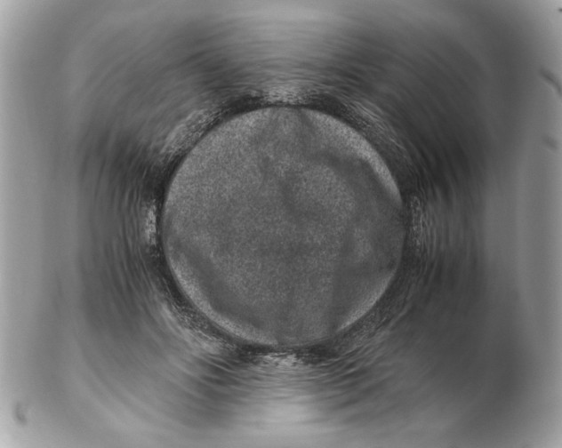 X0000102380502200808291404