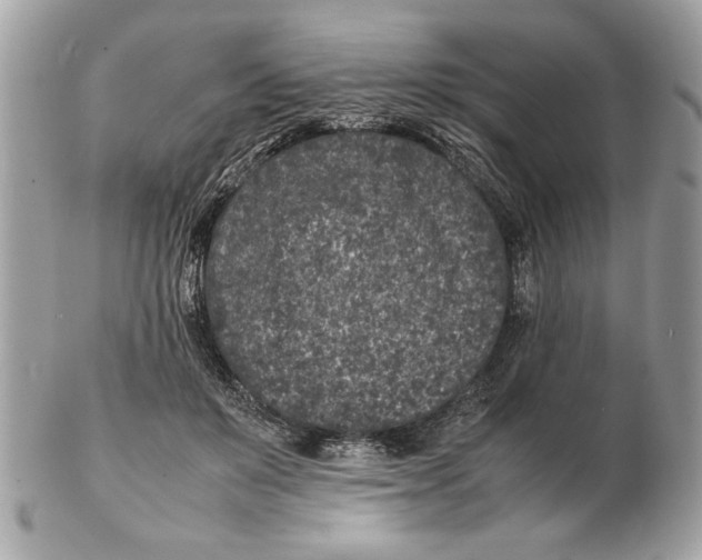 X0000102380503200808291404