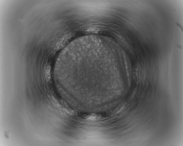 X0000102380504200808291404