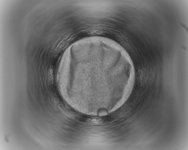 X0000102380506200808291404