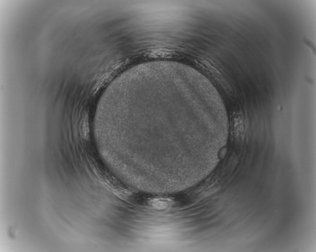 X0000102380508200808291404