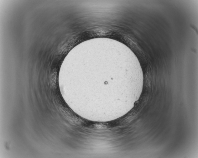 X0000102380509200808291404