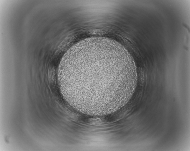 X0000102380511200808291404