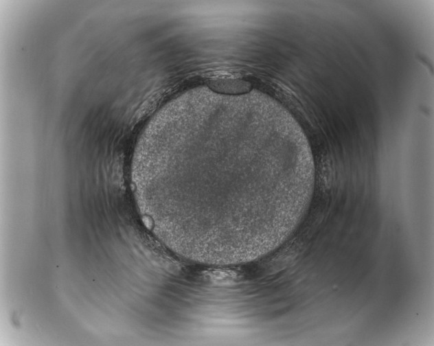 X0000102380512200808291404