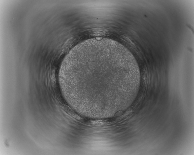 X0000102380516200808291404