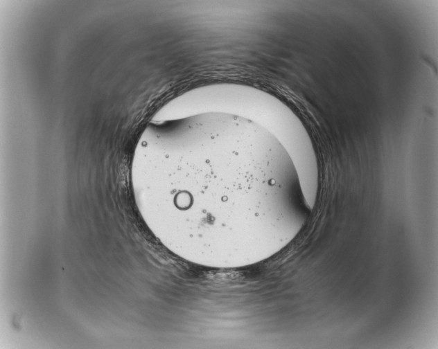 X0000102380517200808291404