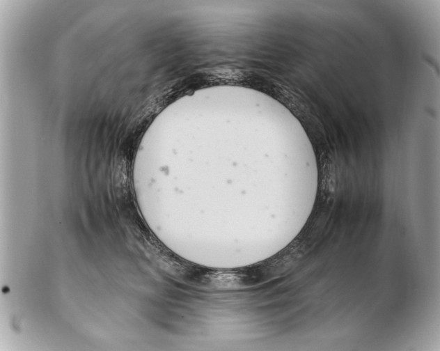 X0000102380518200808291404