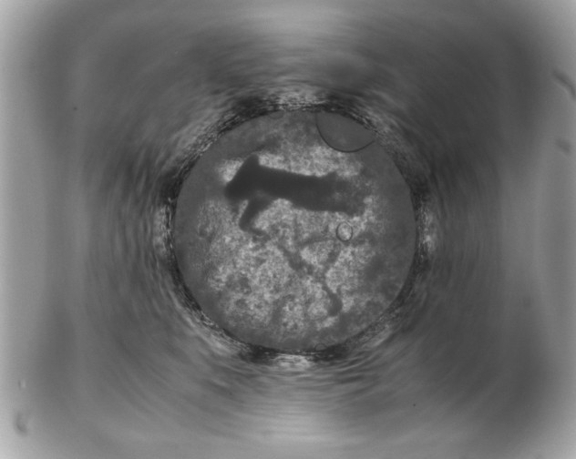 X0000102380519200808291404