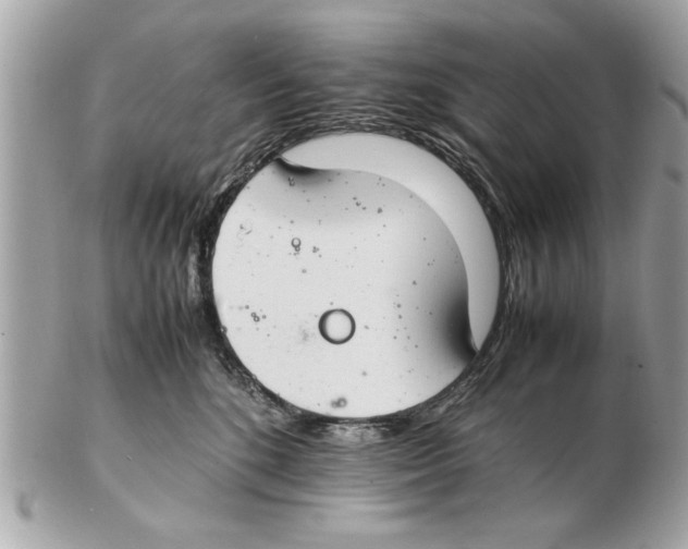 X0000102380520200808291404