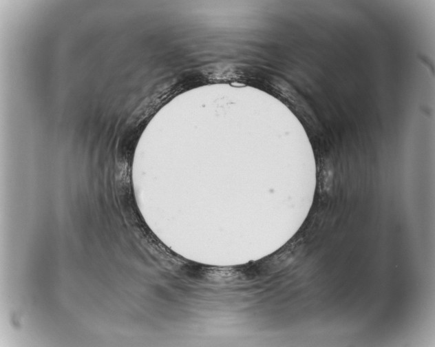 X0000102380521200808291404