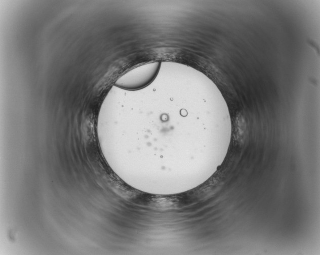 X0000102380522200808291404