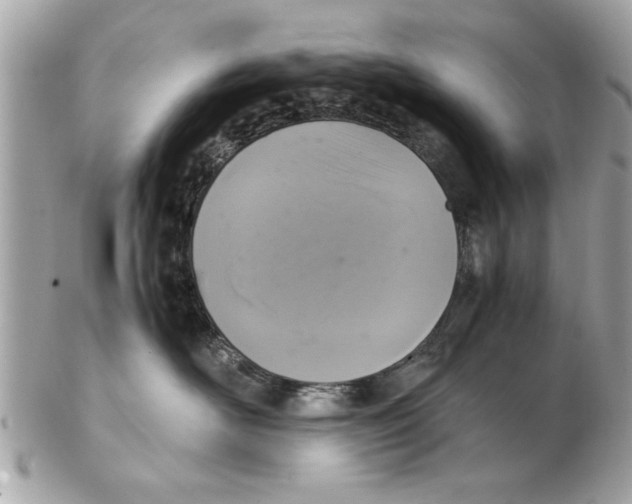 X0000102380526200808291404