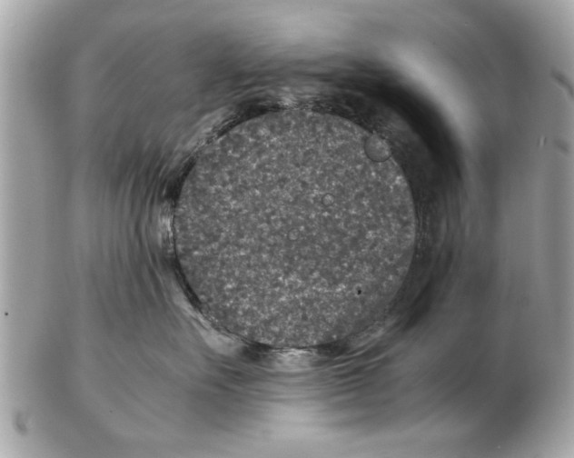 X0000102380527200808291404