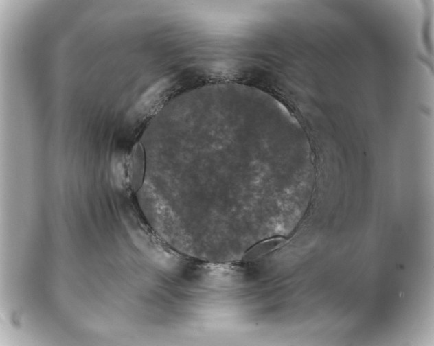 X0000102380528200808291404