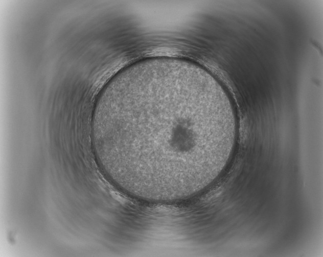 X0000102380529200808291403