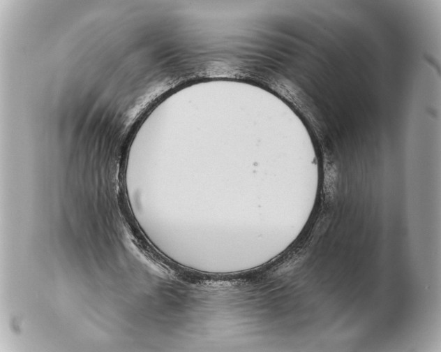 X0000102380530200808291403