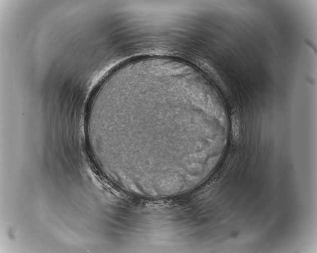 X0000102380532200808291403