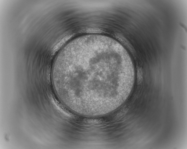 X0000102380533200808291403