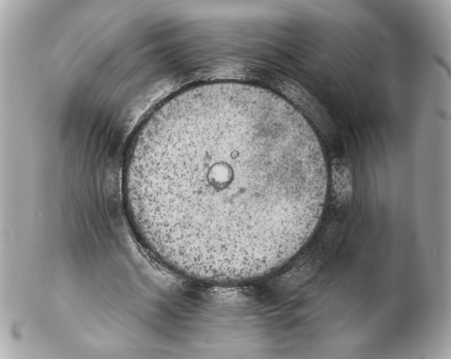 X0000102380534200808291403