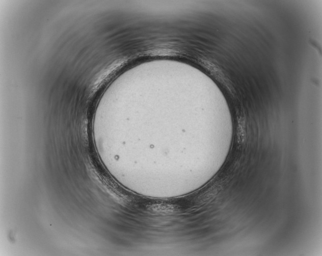 X0000102380535200808291403