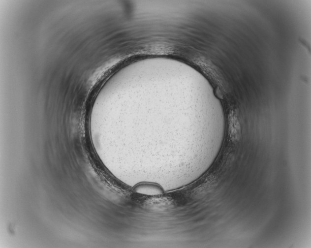 X0000102380536200808291403