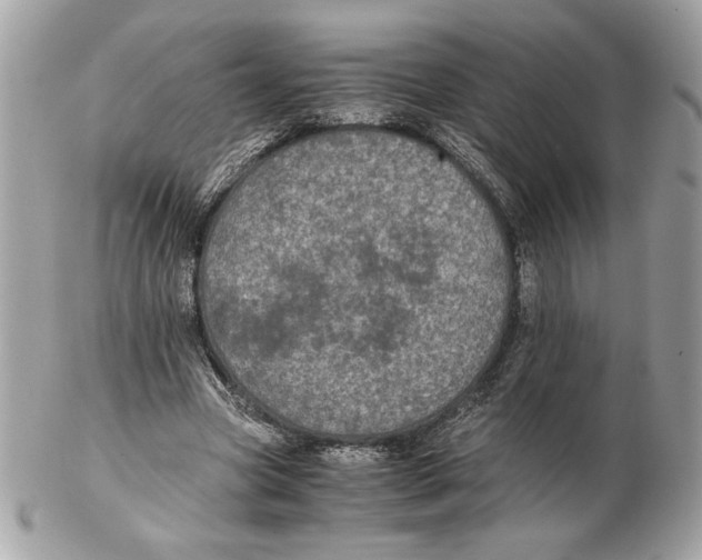 X0000102380537200808291403