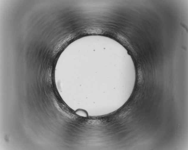 X0000102380538200808291403