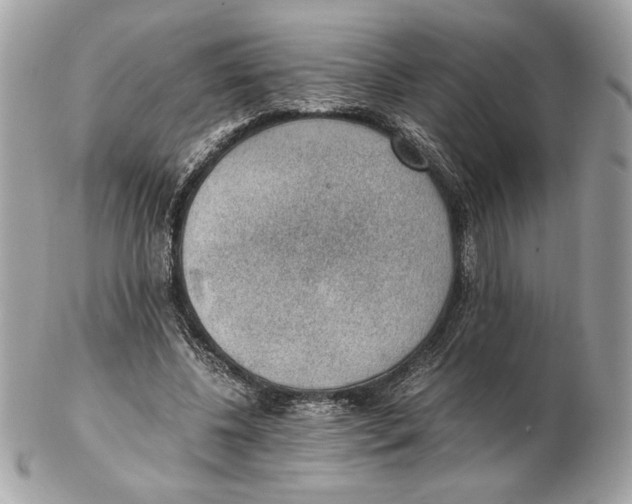 X0000102380540200808291403