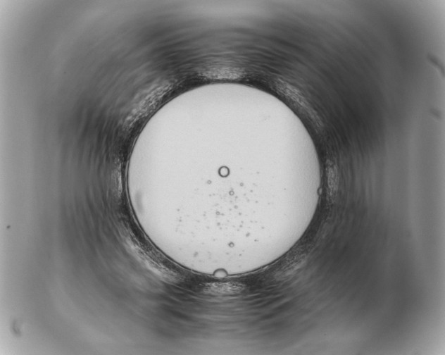 X0000102380541200808291403