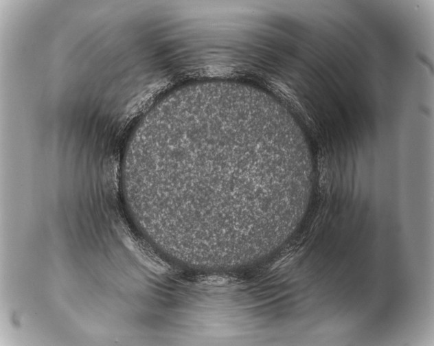 X0000102380542200808291403