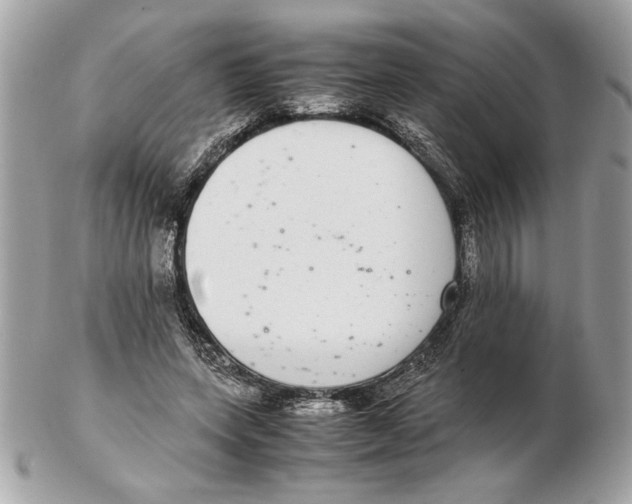 X0000102380543200808291403