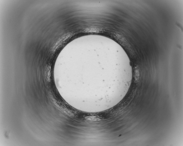 X0000102380544200808291403