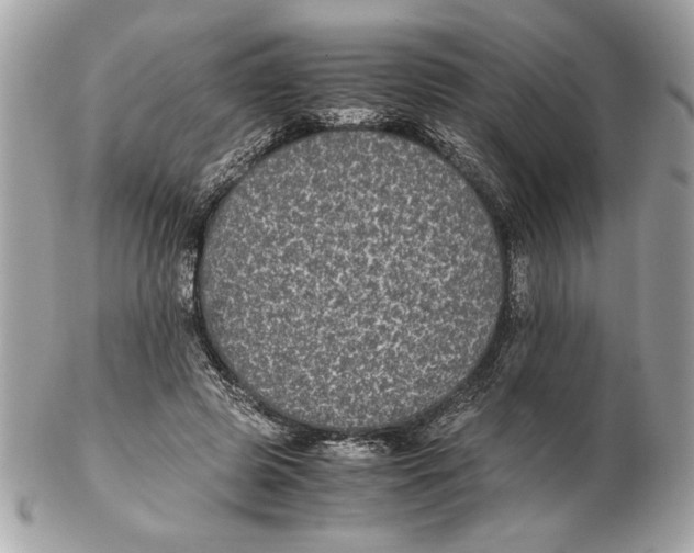 X0000102380545200808291403