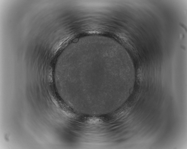 X0000102380547200808291403