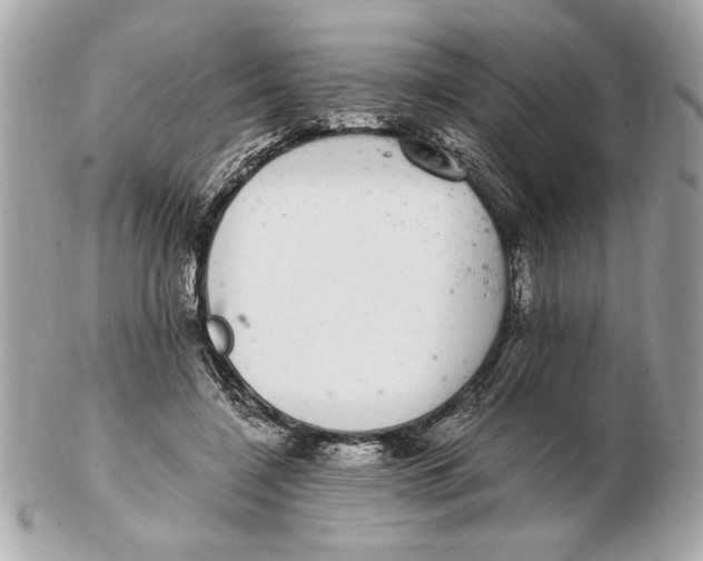 X0000102380548200808291403