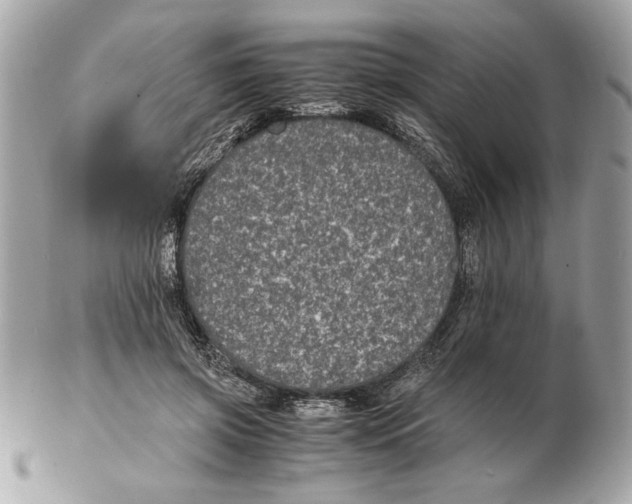 X0000102380549200808291403