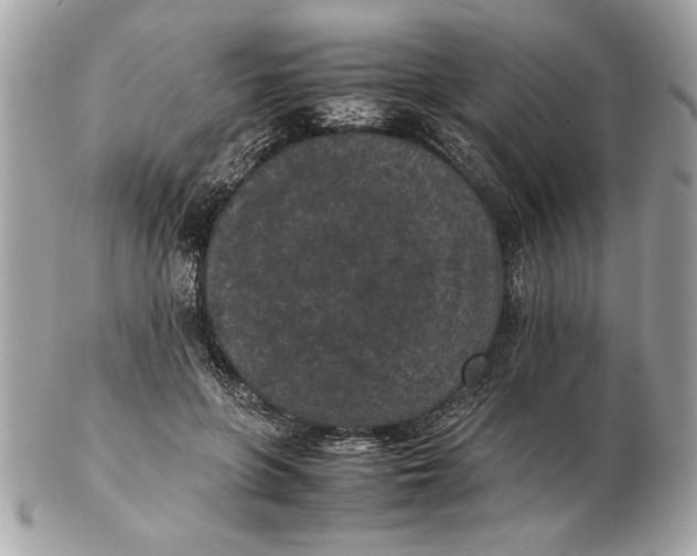 X0000102380551200808291403