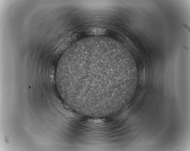 X0000102380553200808291403