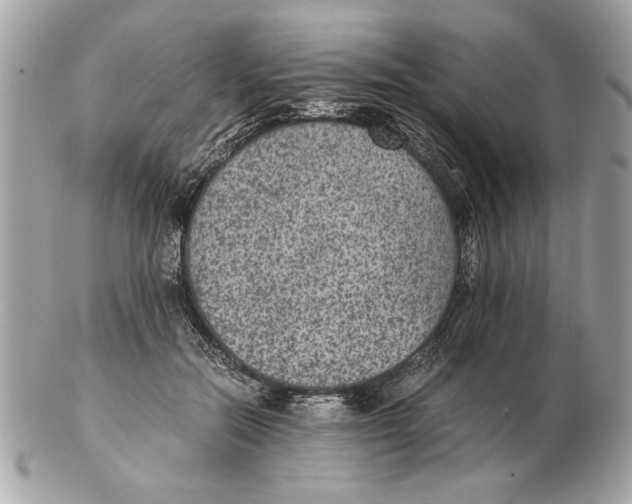 X0000102380554200808291403